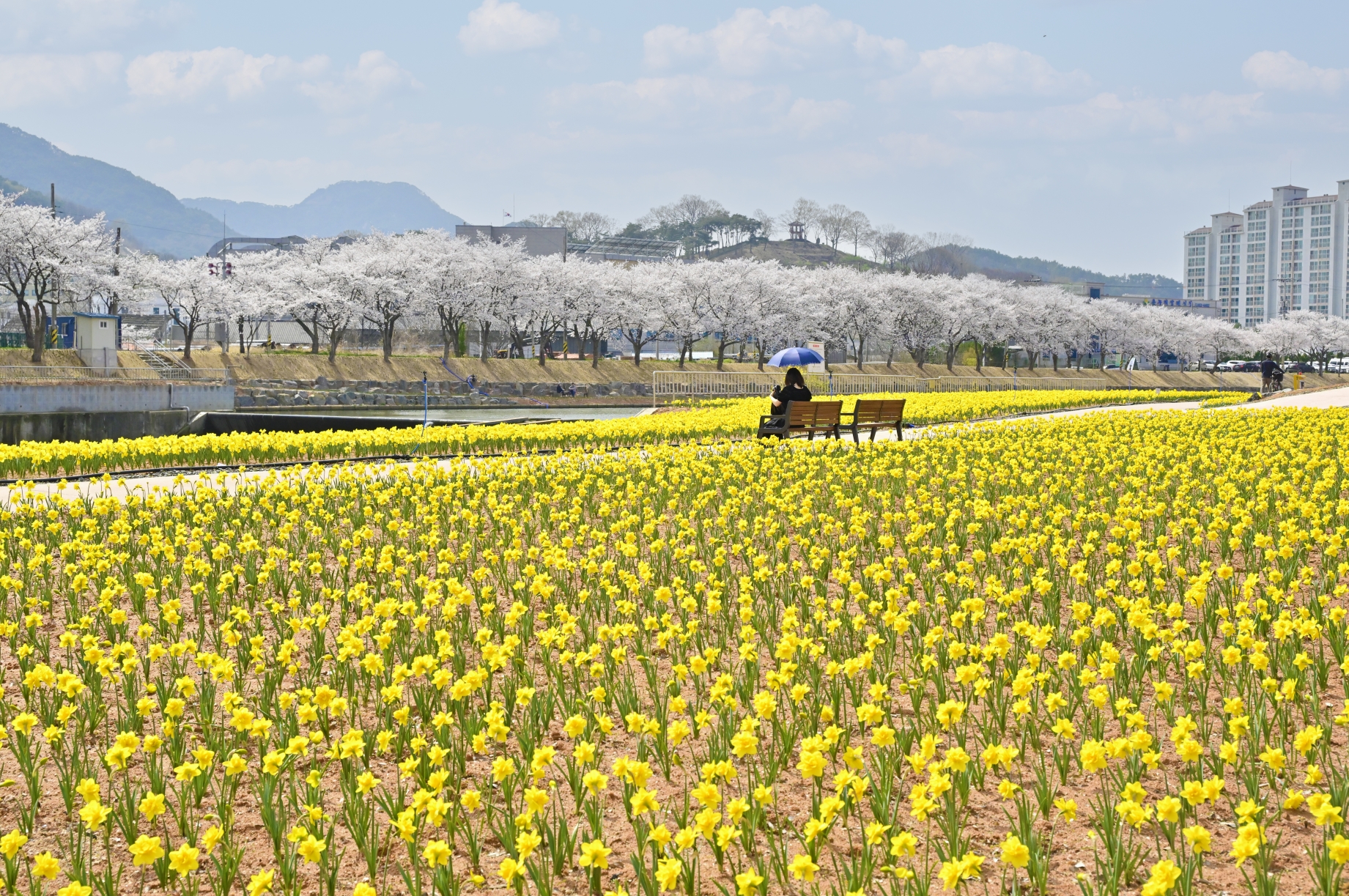 KakaoTalk_20260413_115704612_09