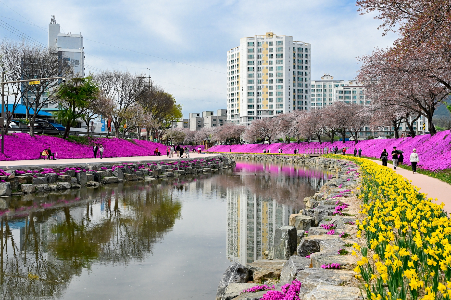 KakaoTalk_20260413_115704612_11