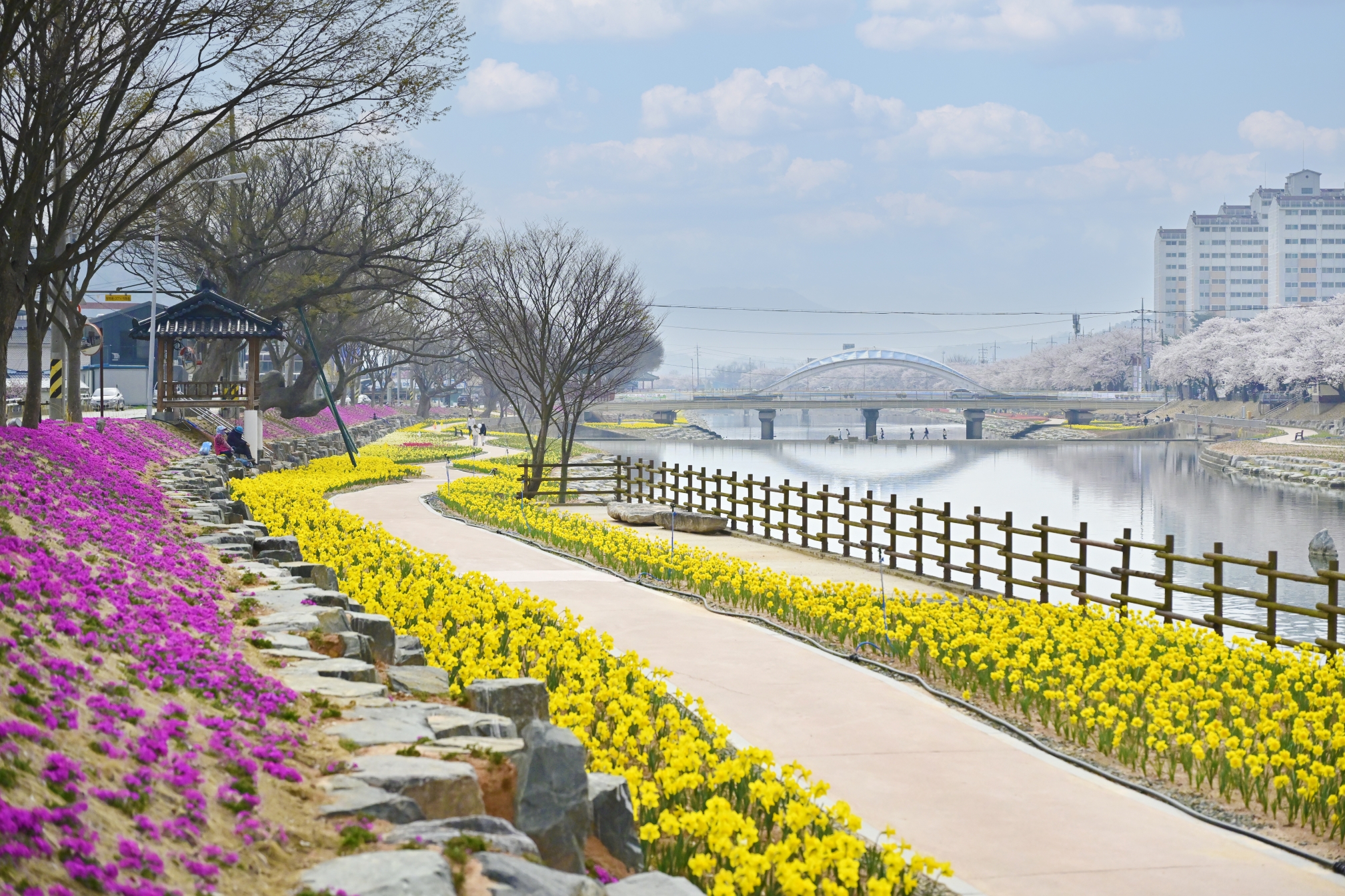 KakaoTalk_20260413_115704612_07