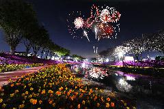 1-79. 꽃길위 불꽃의 향연2.jpg