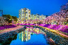 4-72. 양지천의 밤.jpg