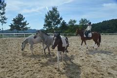 공공승마장 DSC_2401-1.jpg