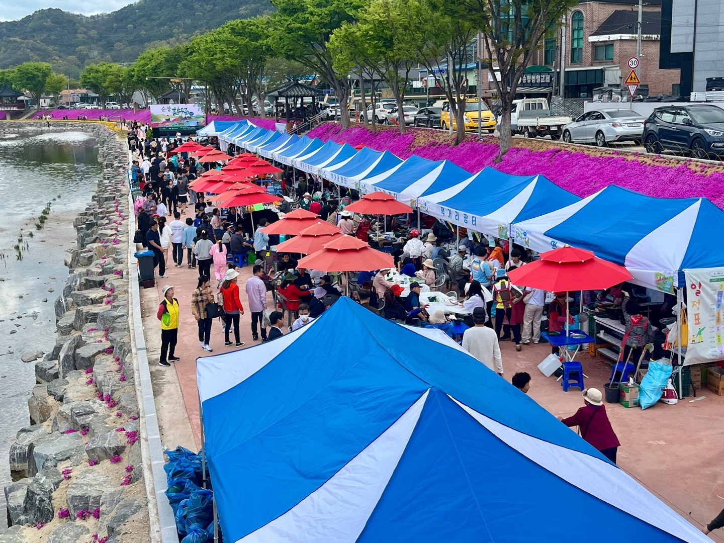 참두릅여행 축제.jpg