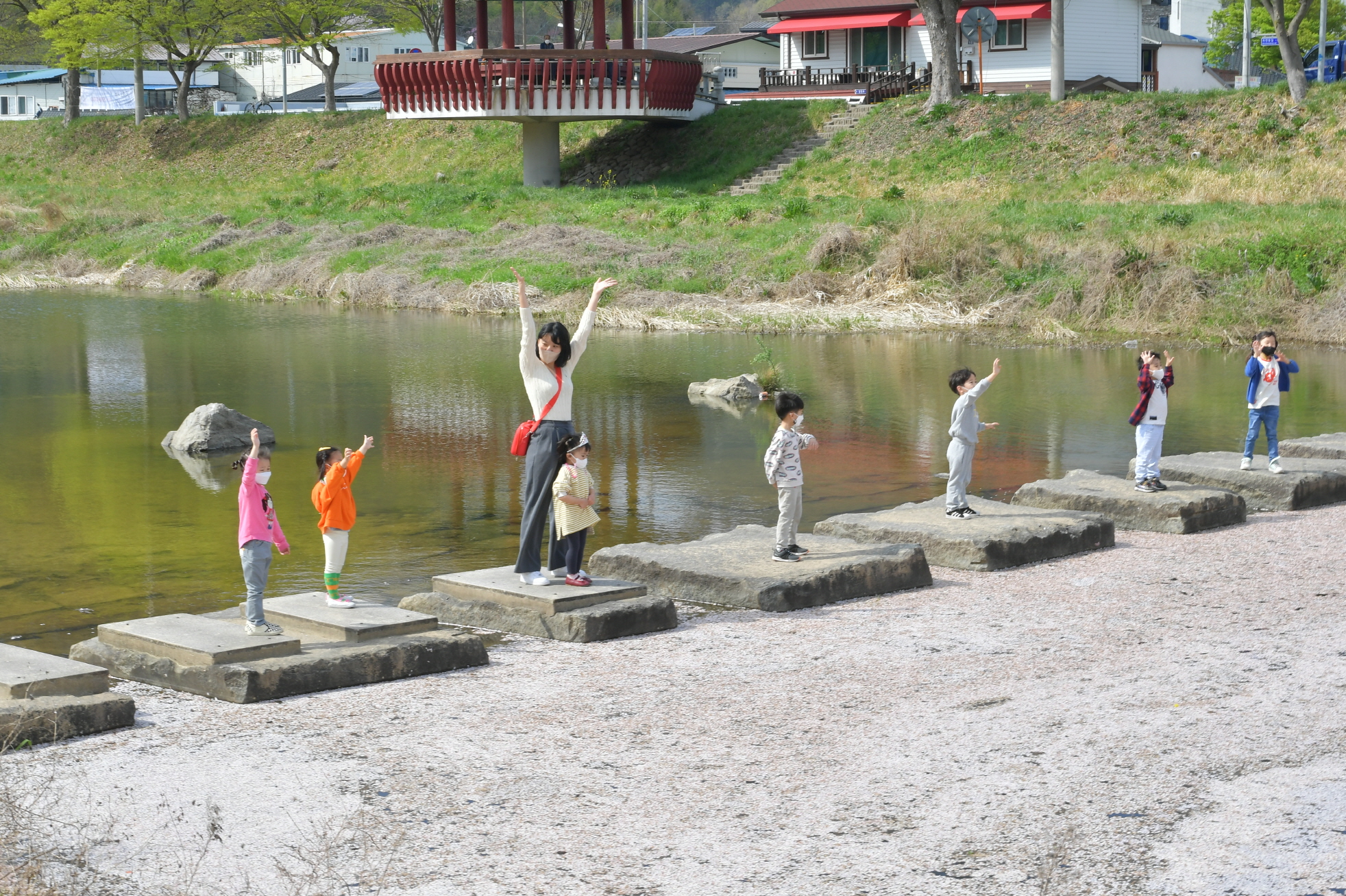 경천 벚꽃 징검다리 DSC_2030.JPG