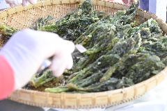 순창 참두릅 여행 _DSC5068.JPG