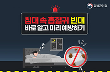 질병관리청
침대속 흡혈귀 빈대 바로알고 미리 예방하기