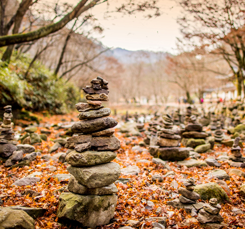 힐링등산코스 사진