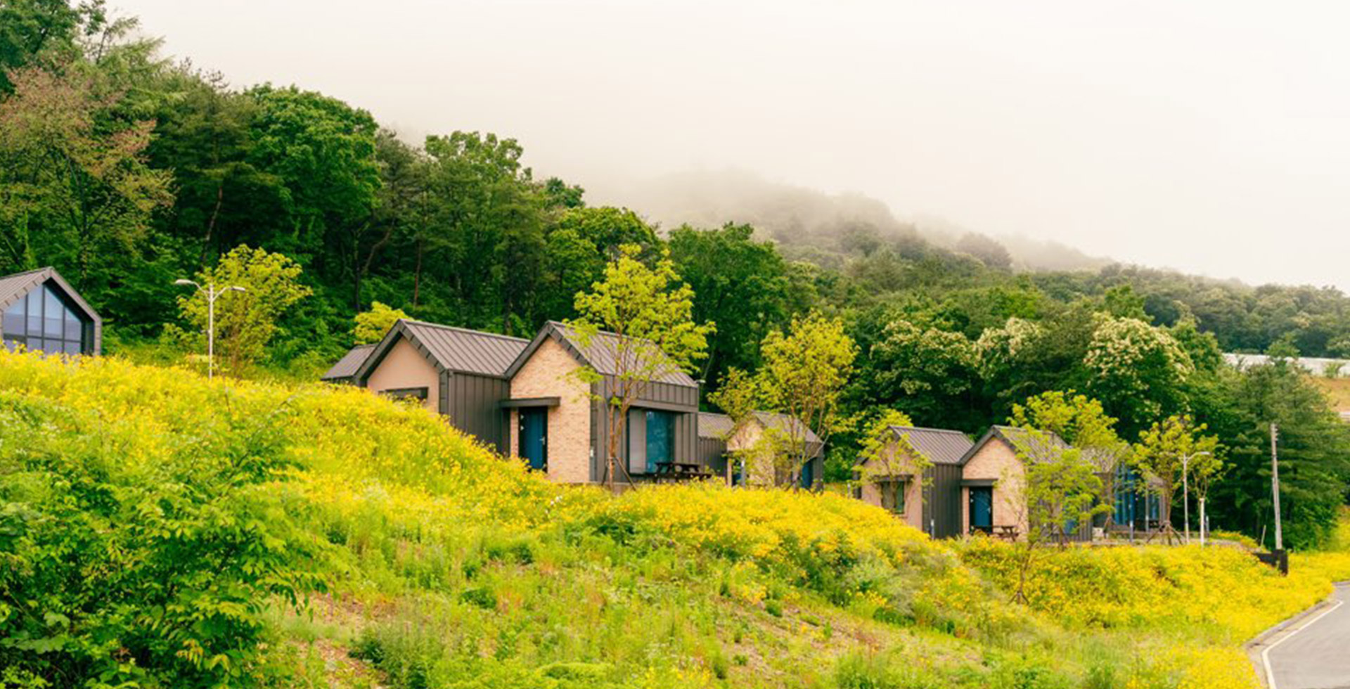 Sustainable Health In Life