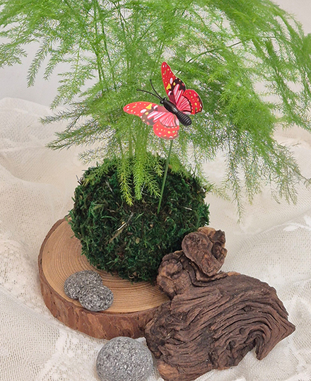 시니어 슈퍼맨 사진