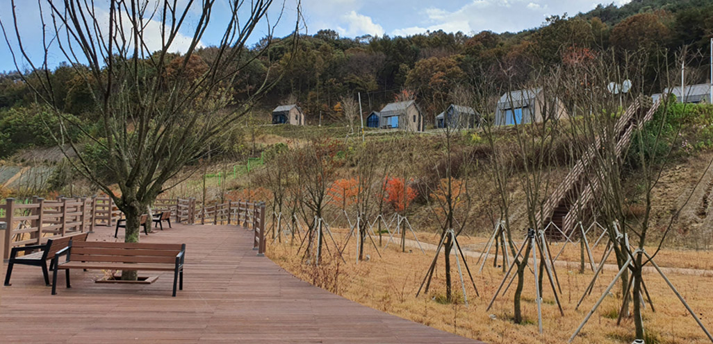 힐링 공원 사진