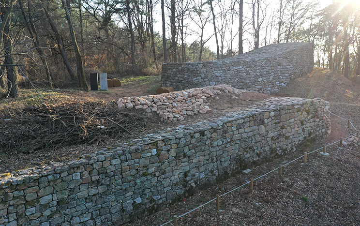 ホロミ山城 (文化財資料 70号)