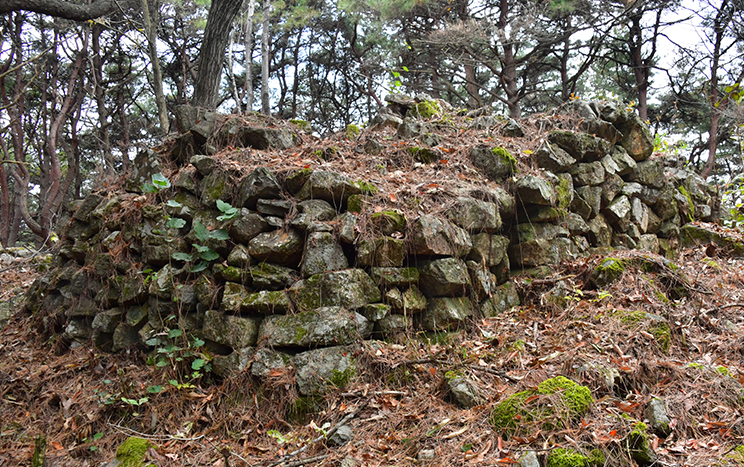 合米城 (文化財資料 71号)