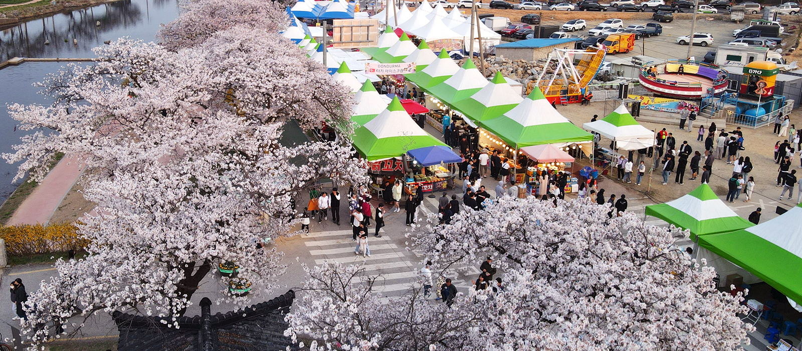 玉川谷桜祭り（オクチョンコル・ボッコッ・チュクチェ）
