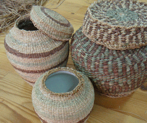 Straw and Plant Craft