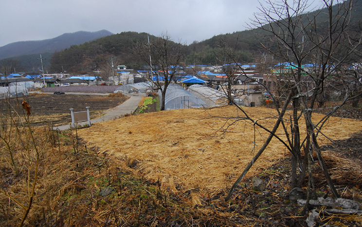 名唱朴裕全 （西便制创始人）