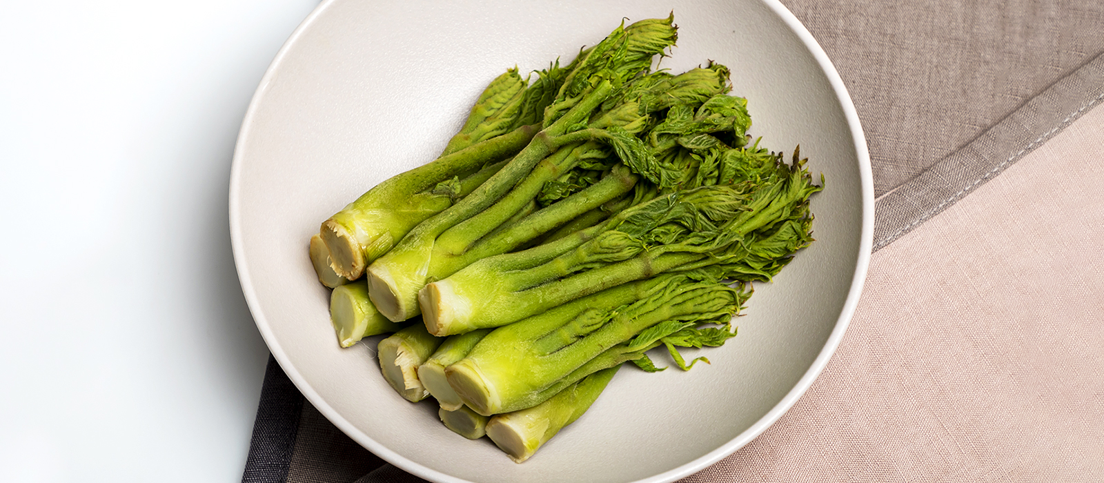 トゥルプ（タラの芽）