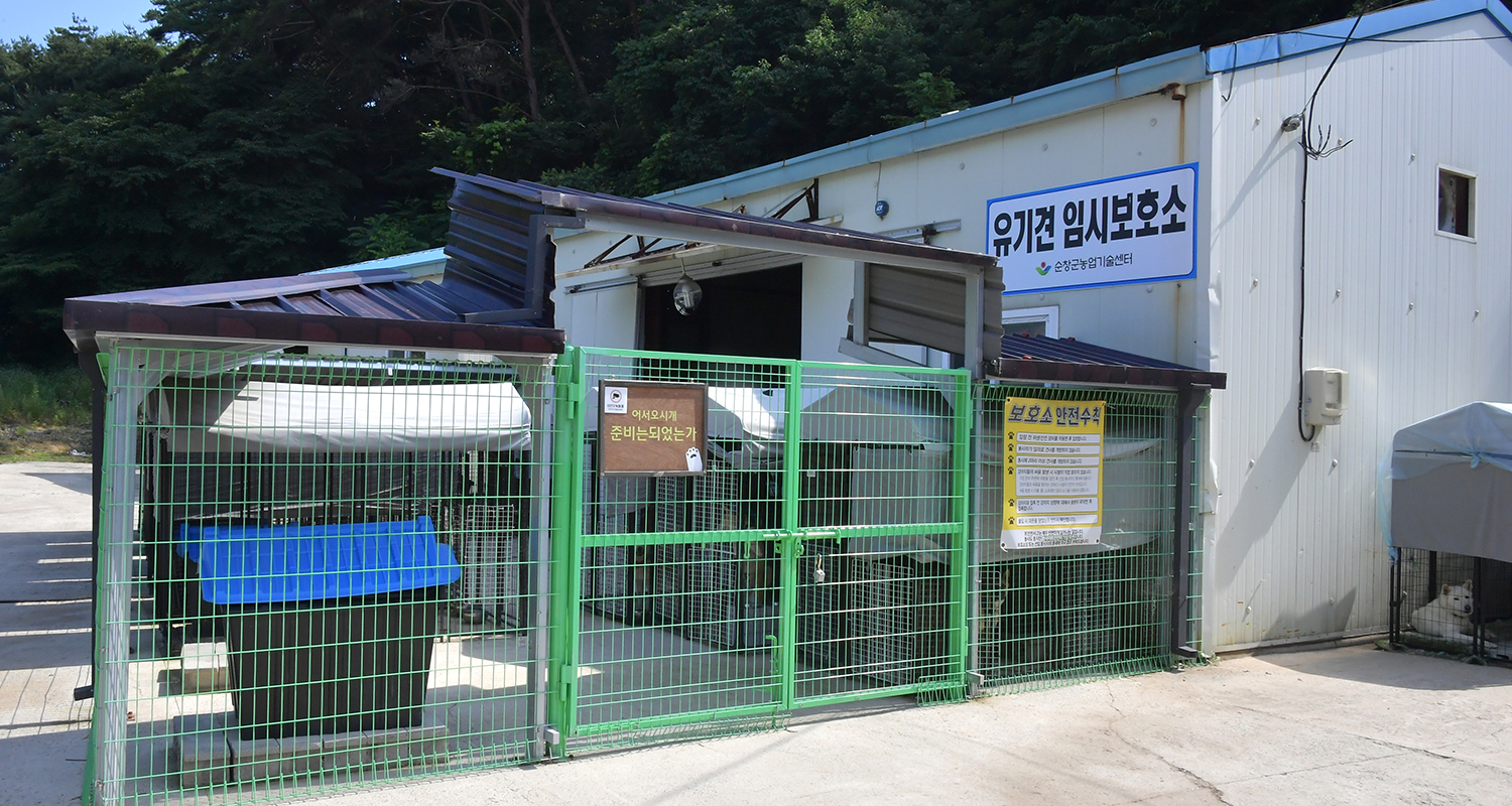 순창군 유기견 보호소