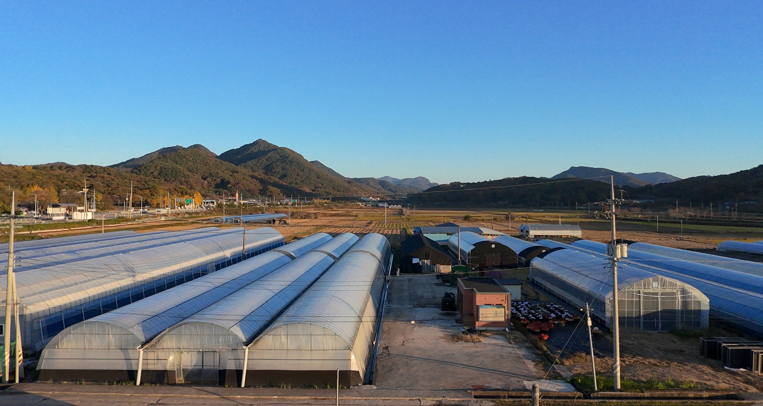 과학영농실증포