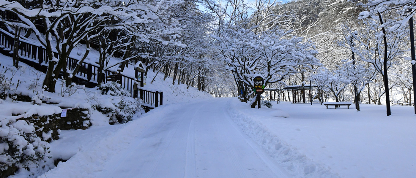강천산의 겨울
