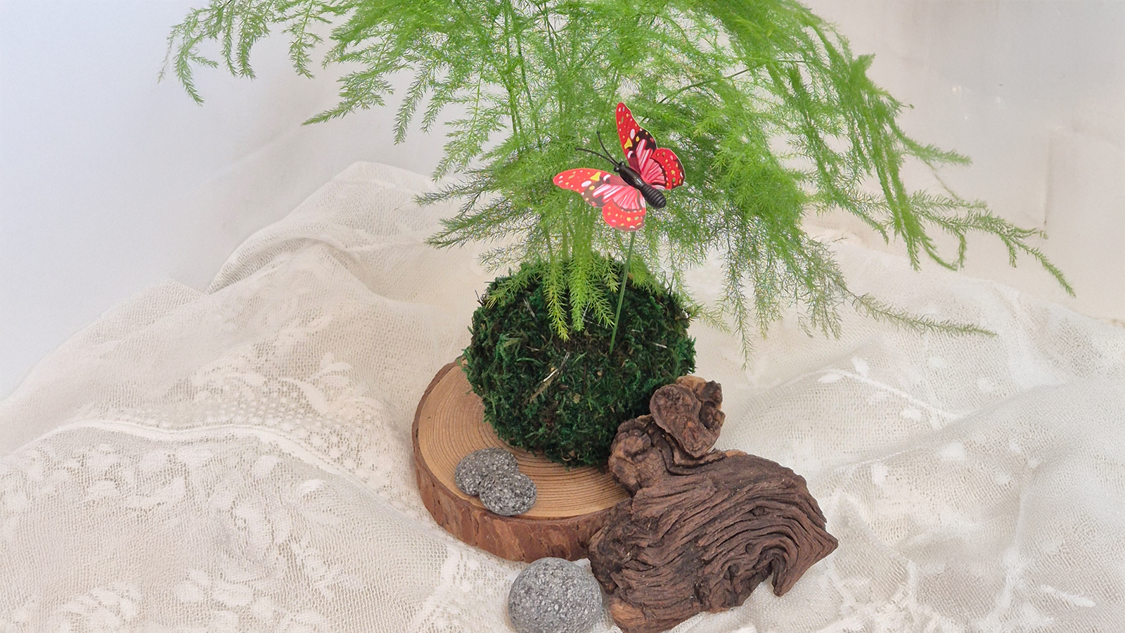 시니어 슈퍼맨 교육