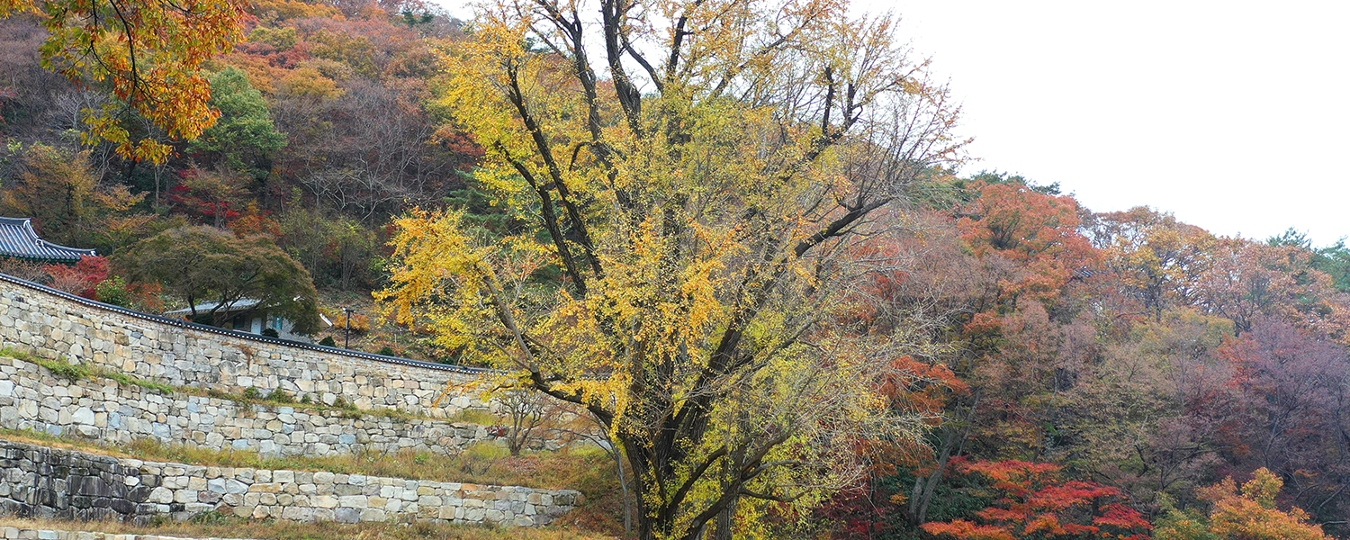 하위 내용 참조
