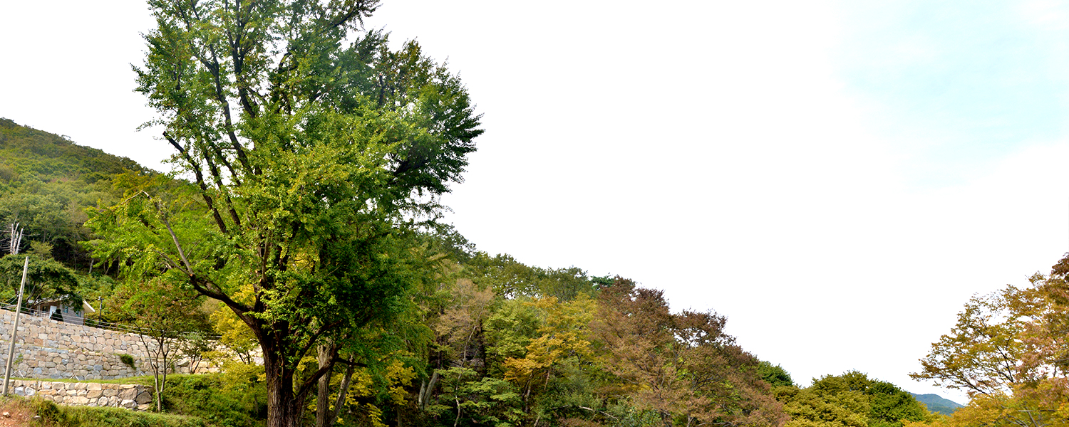 하위 내용 참조